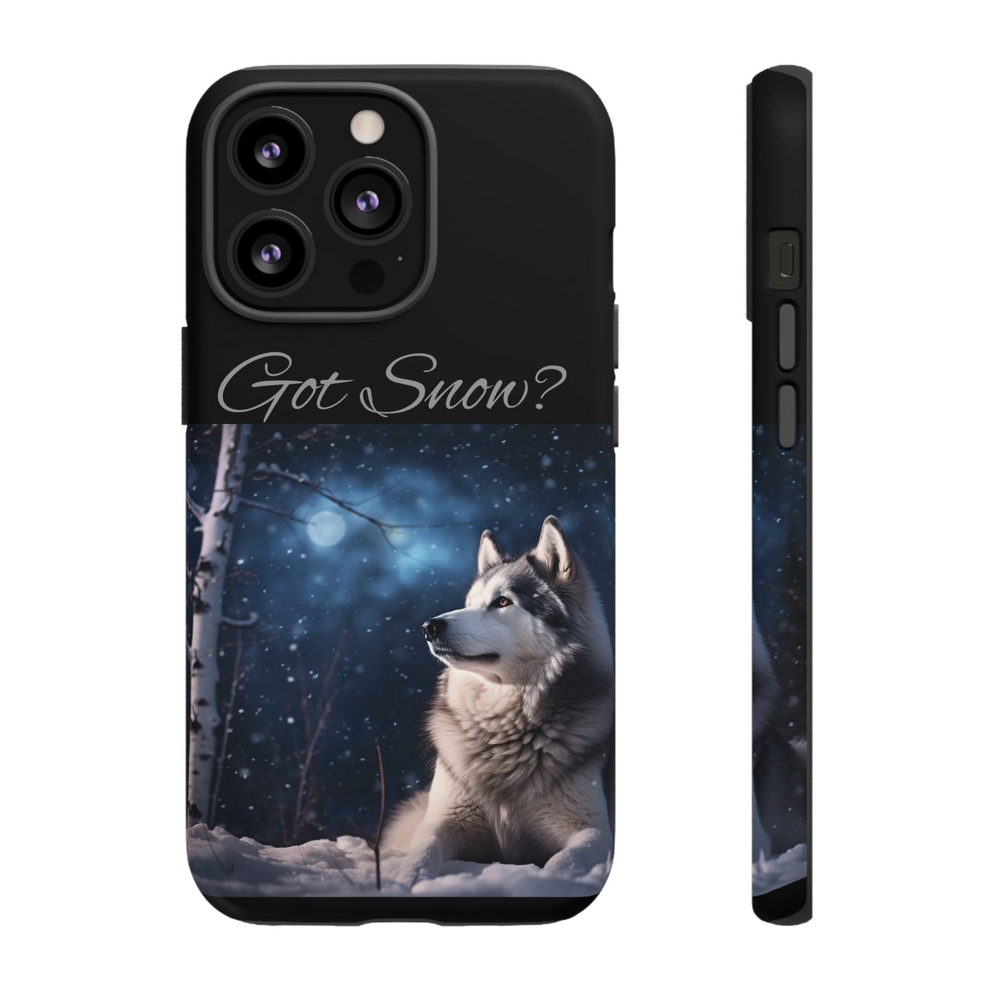 Got Snow? iPhone Case