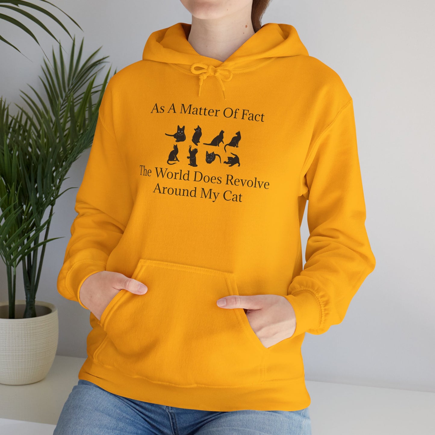 Matter Of Fact Cat Unisex Hoodie