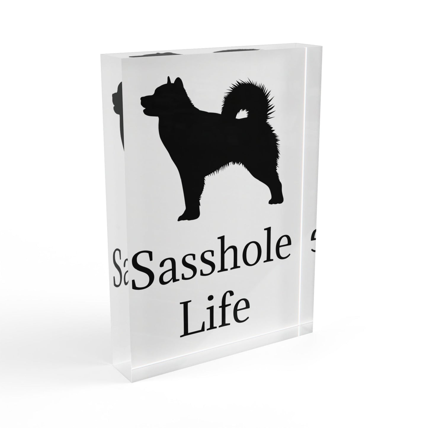 Sasshole Life Acrylic Photo Block
