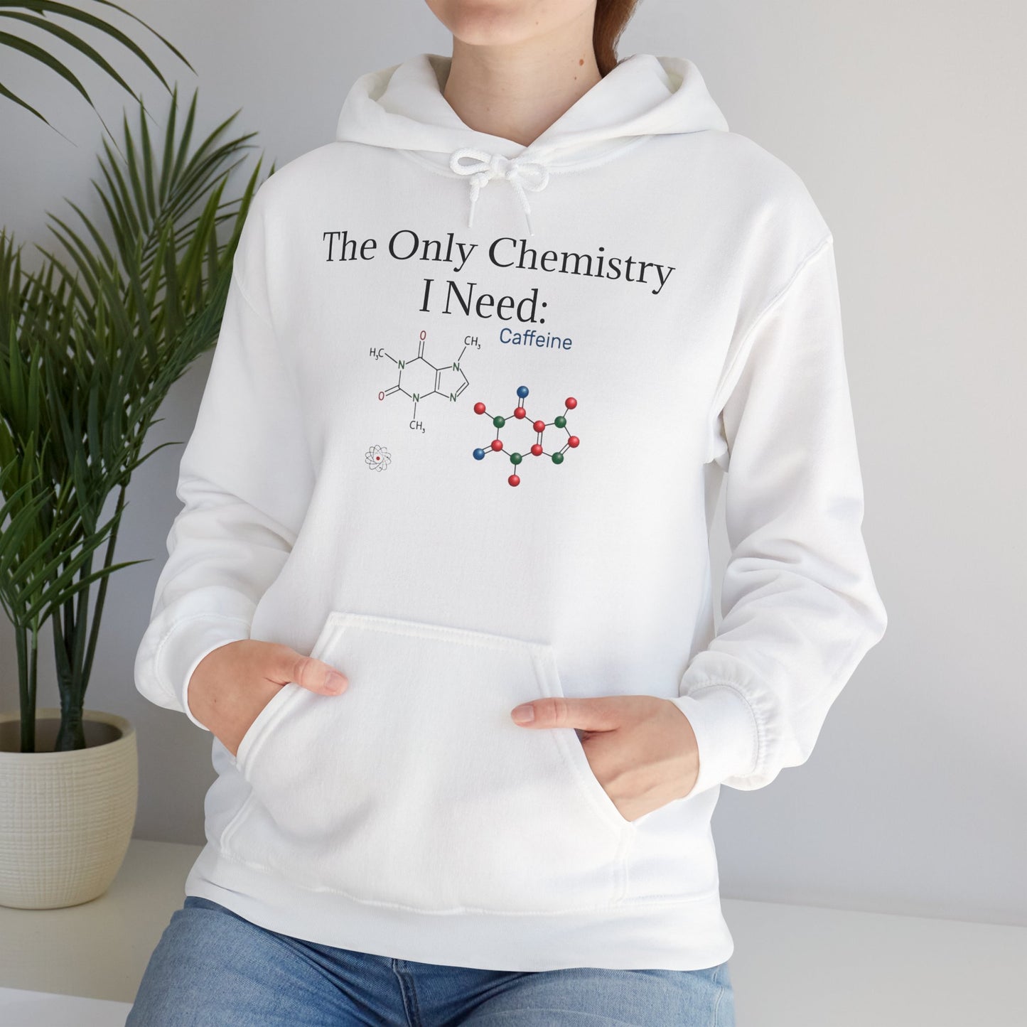 Chemistry Lesson Unisex Hoodie