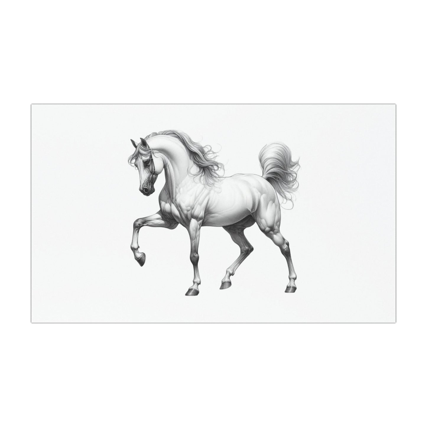 Fancy Pants Indoor/Outdoor Magnet