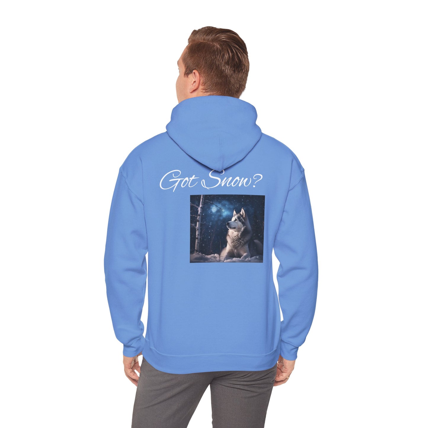 Got Snow? Unisex Hoodie