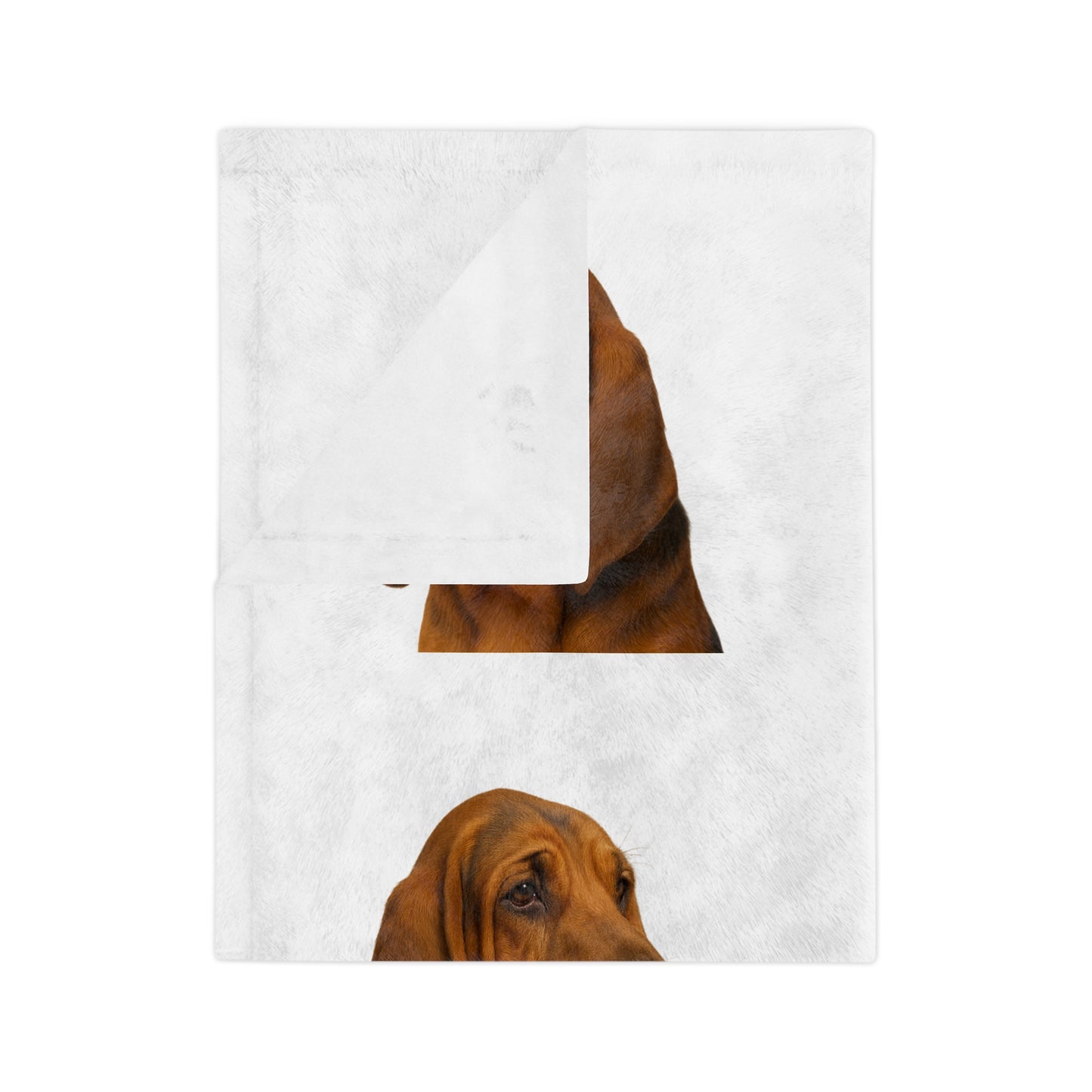 Bloodhound Head Velveteen Microfiber Blanket