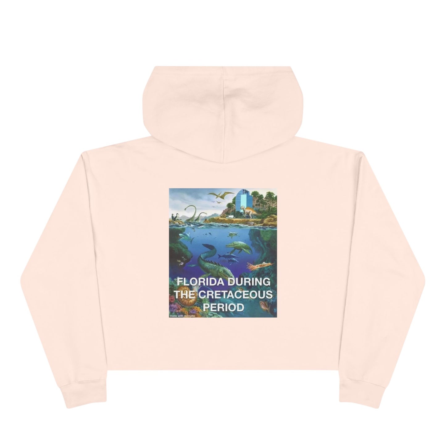 I-4 Eyesore Women's Crop Hoodie