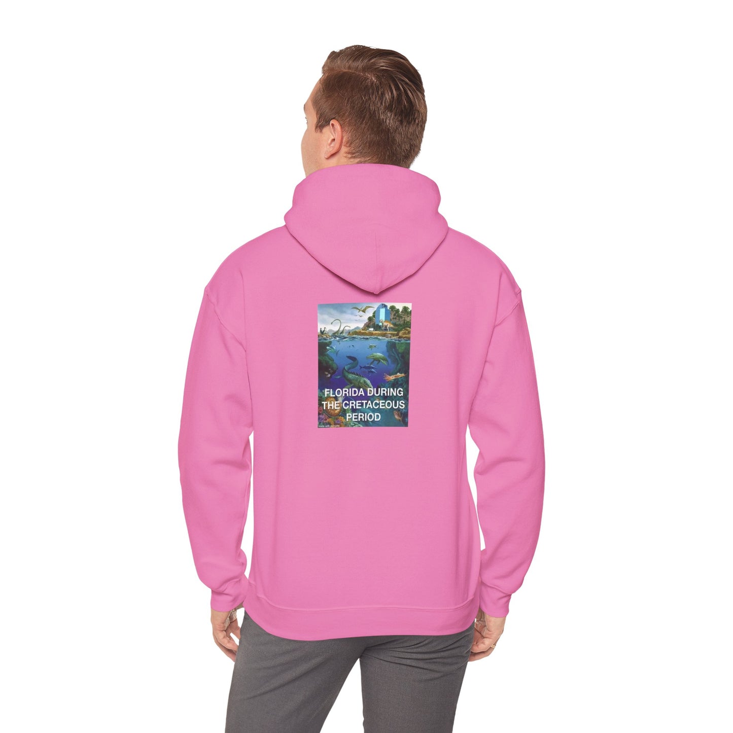 I-4 Eyesore Unisex Hoodie