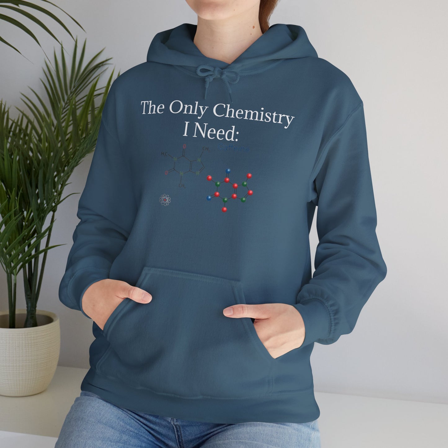 Chemistry Lesson Unisex Hoodie