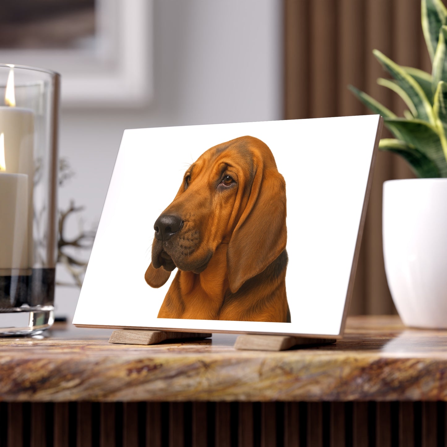 Bloodhound Head Ceramic Photo Tile