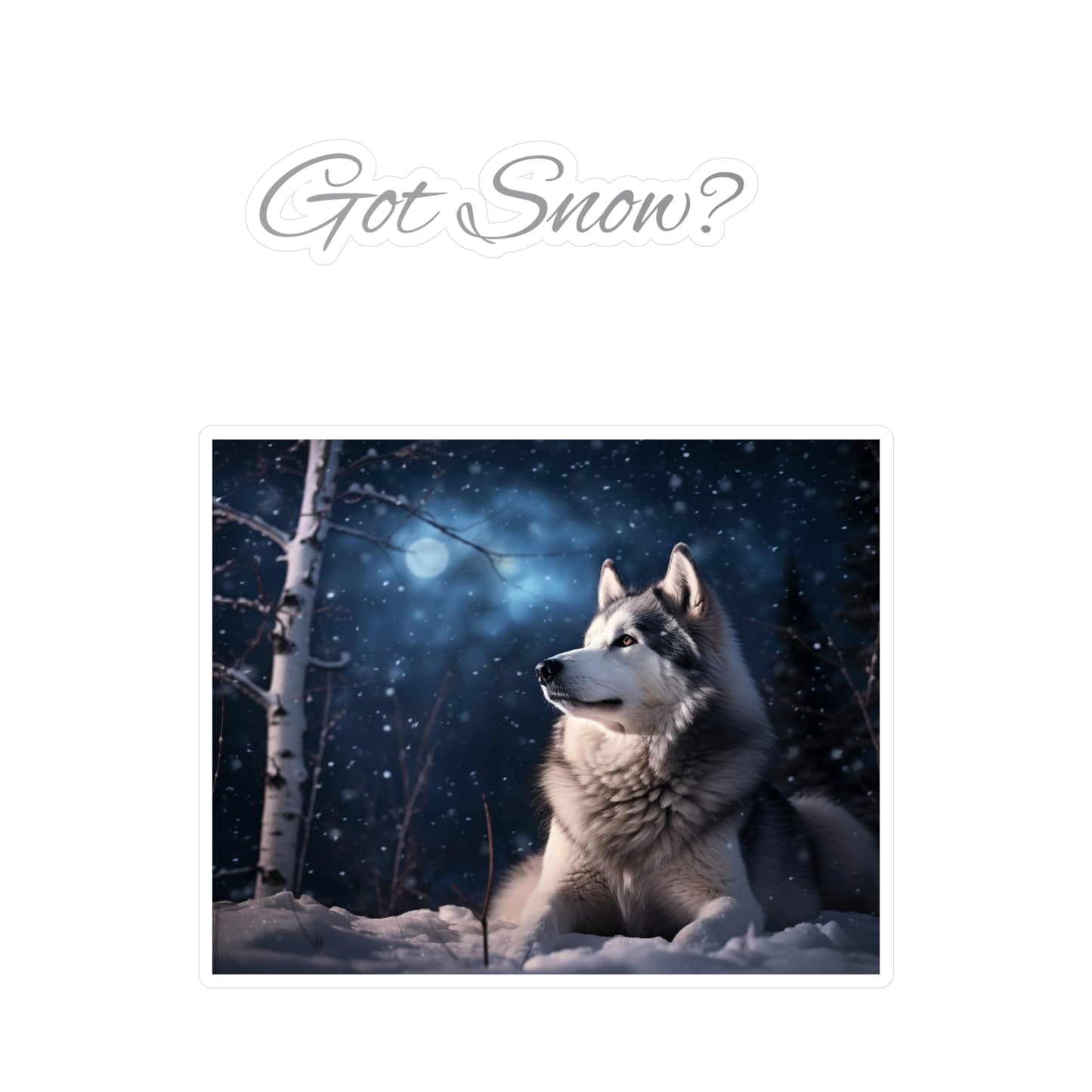 Got Snow? Vinyl Decal