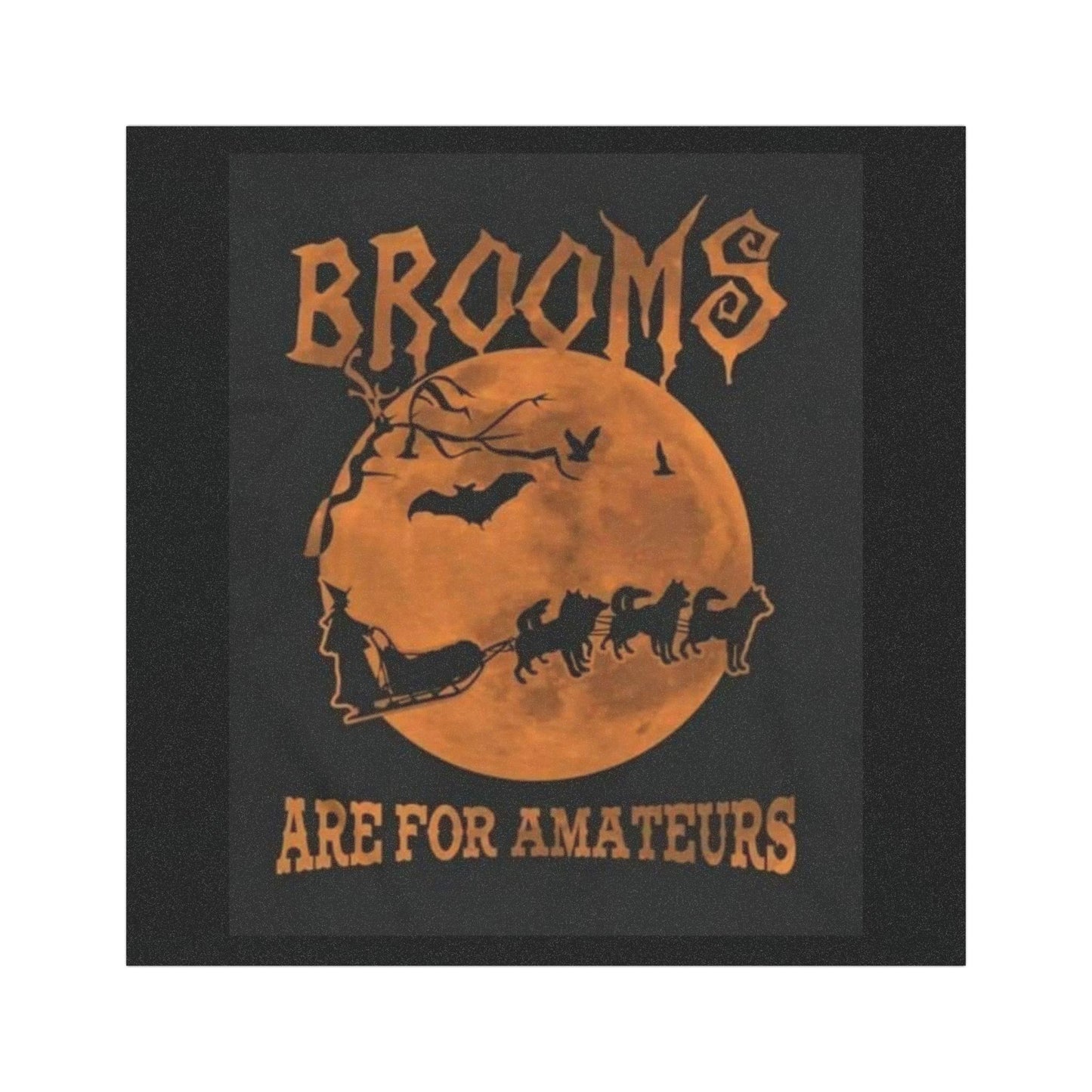 Brooms Are For Amateurs Indoor/Outdoor Magnet