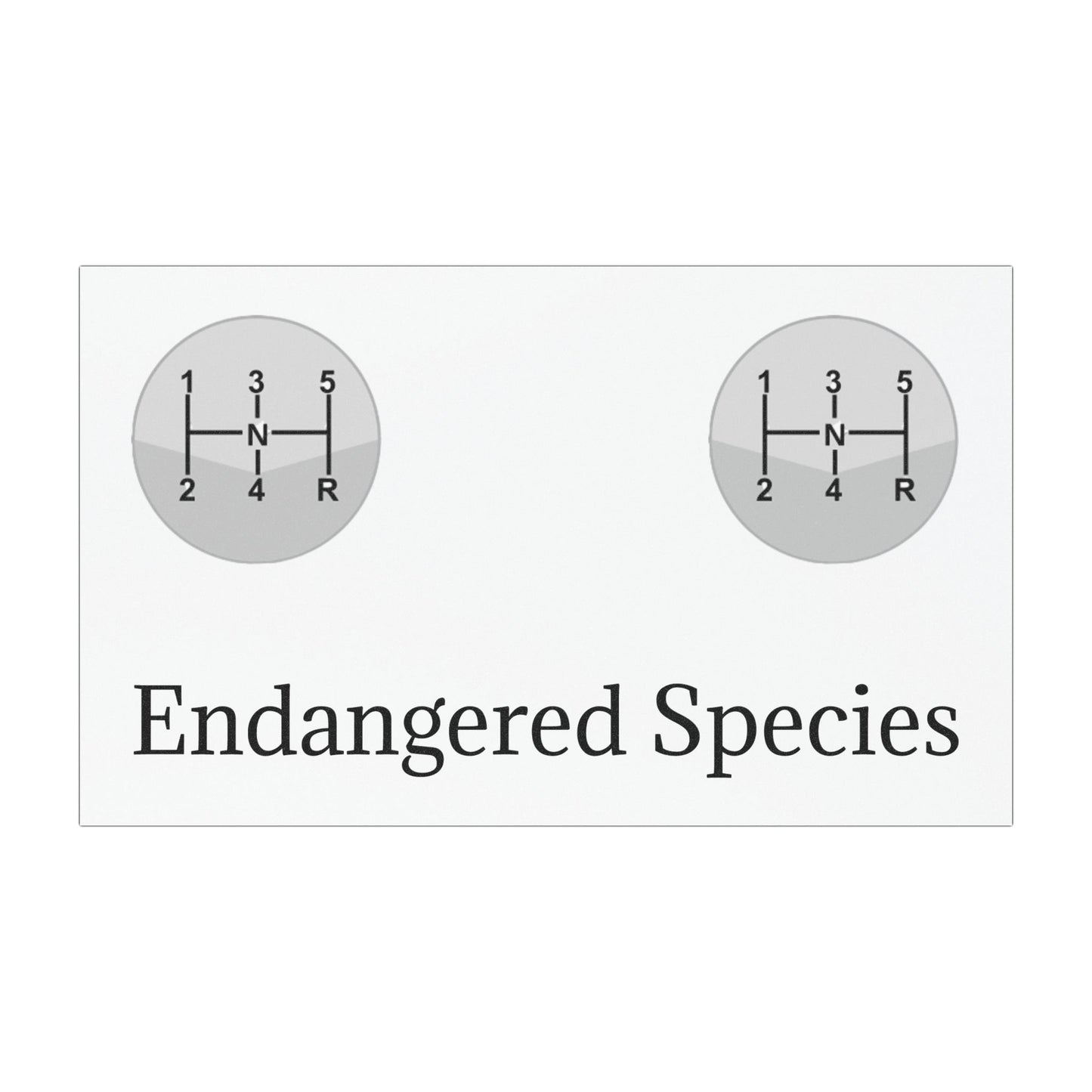 Endangered Species Indoor/Outdoor Magnet