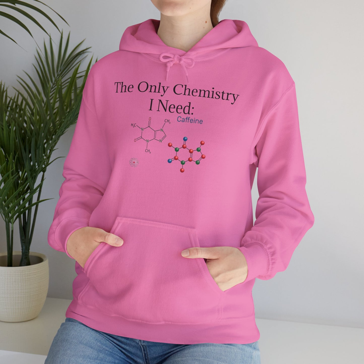 Chemistry Lesson Unisex Hoodie