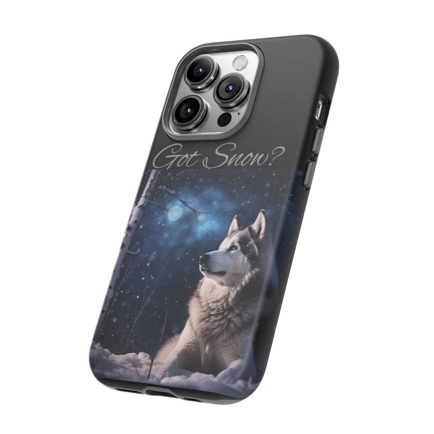 Got Snow? iPhone Case