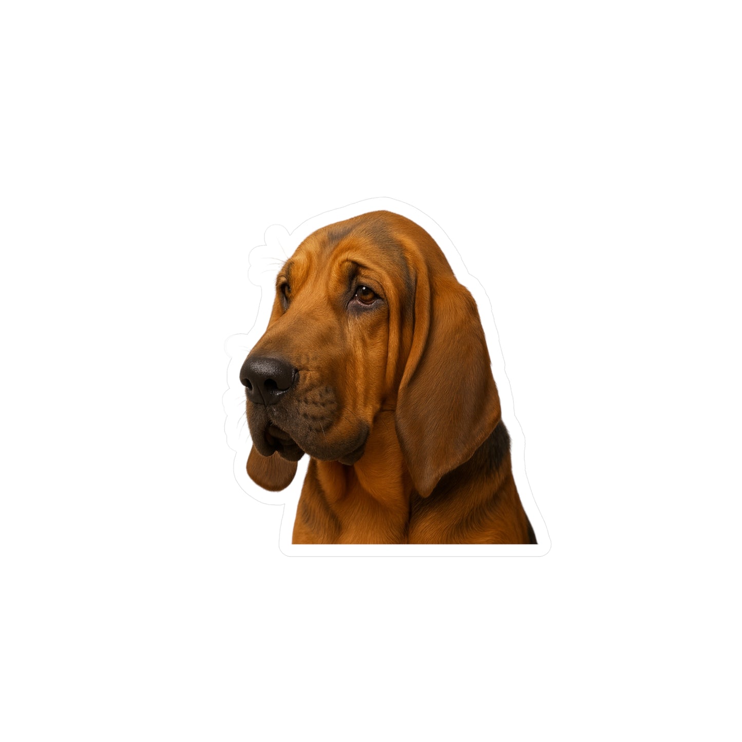 Bloodhound Head Vinyl Decal
