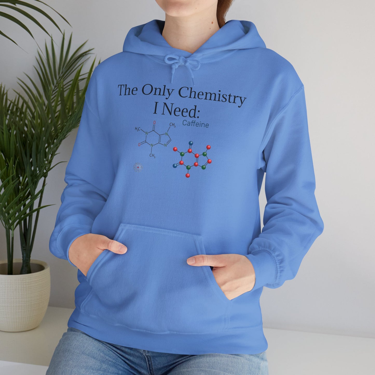Chemistry Lesson Unisex Hoodie