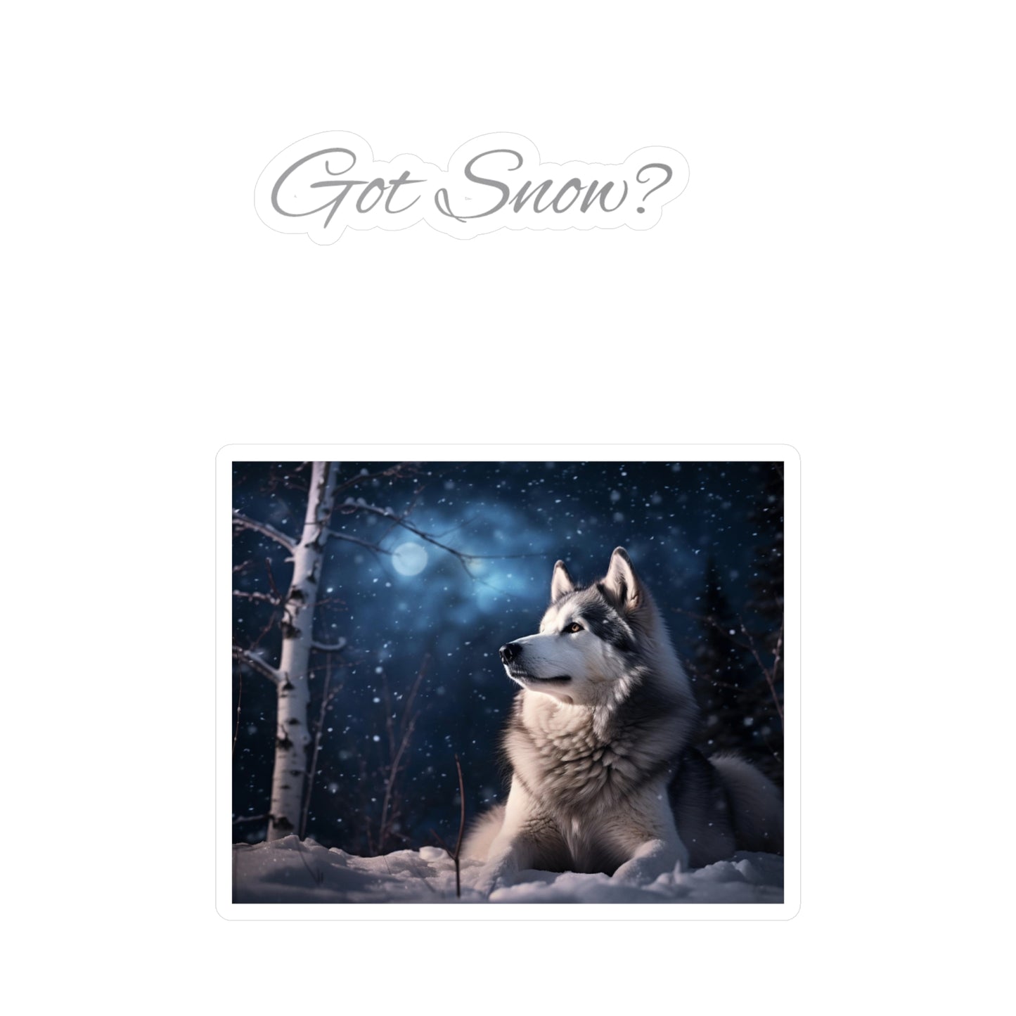 Got Snow? Vinyl Decal