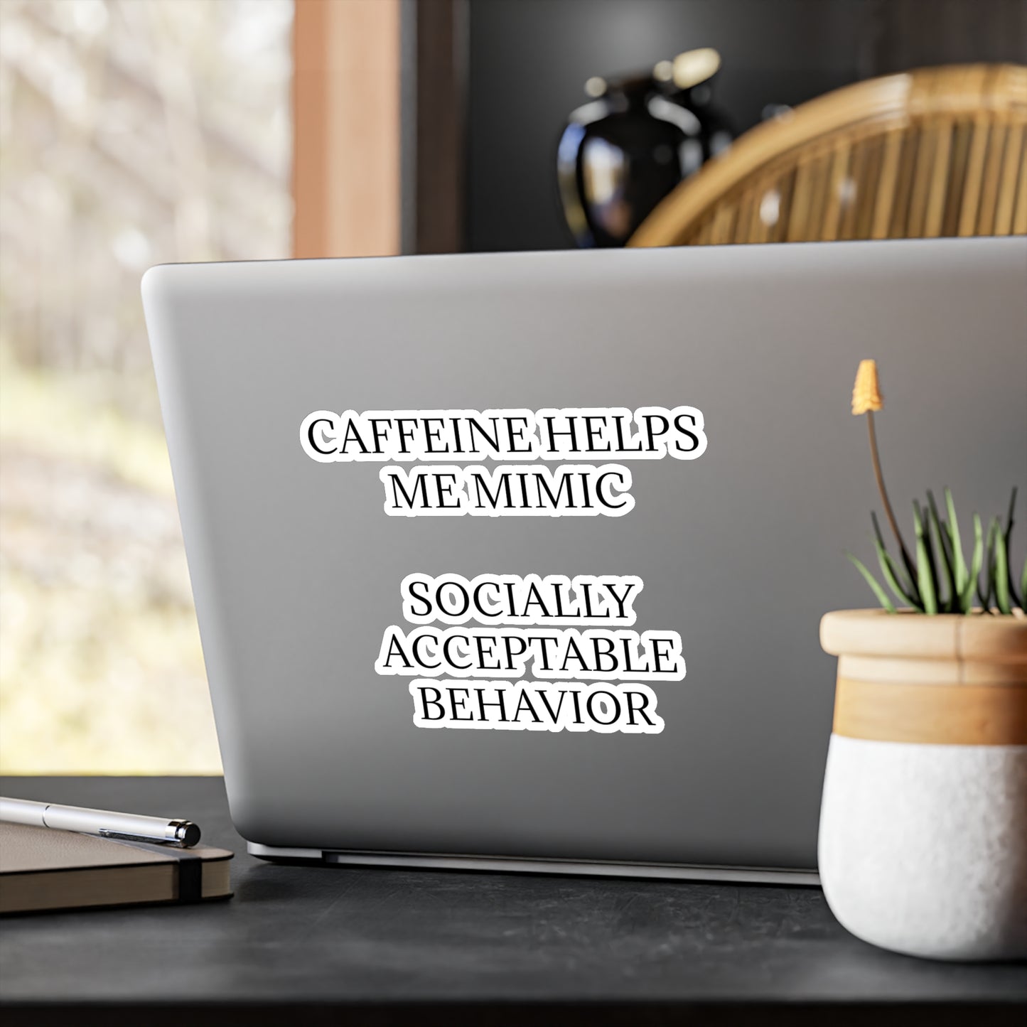 Socially Acceptable Vinyl Decal