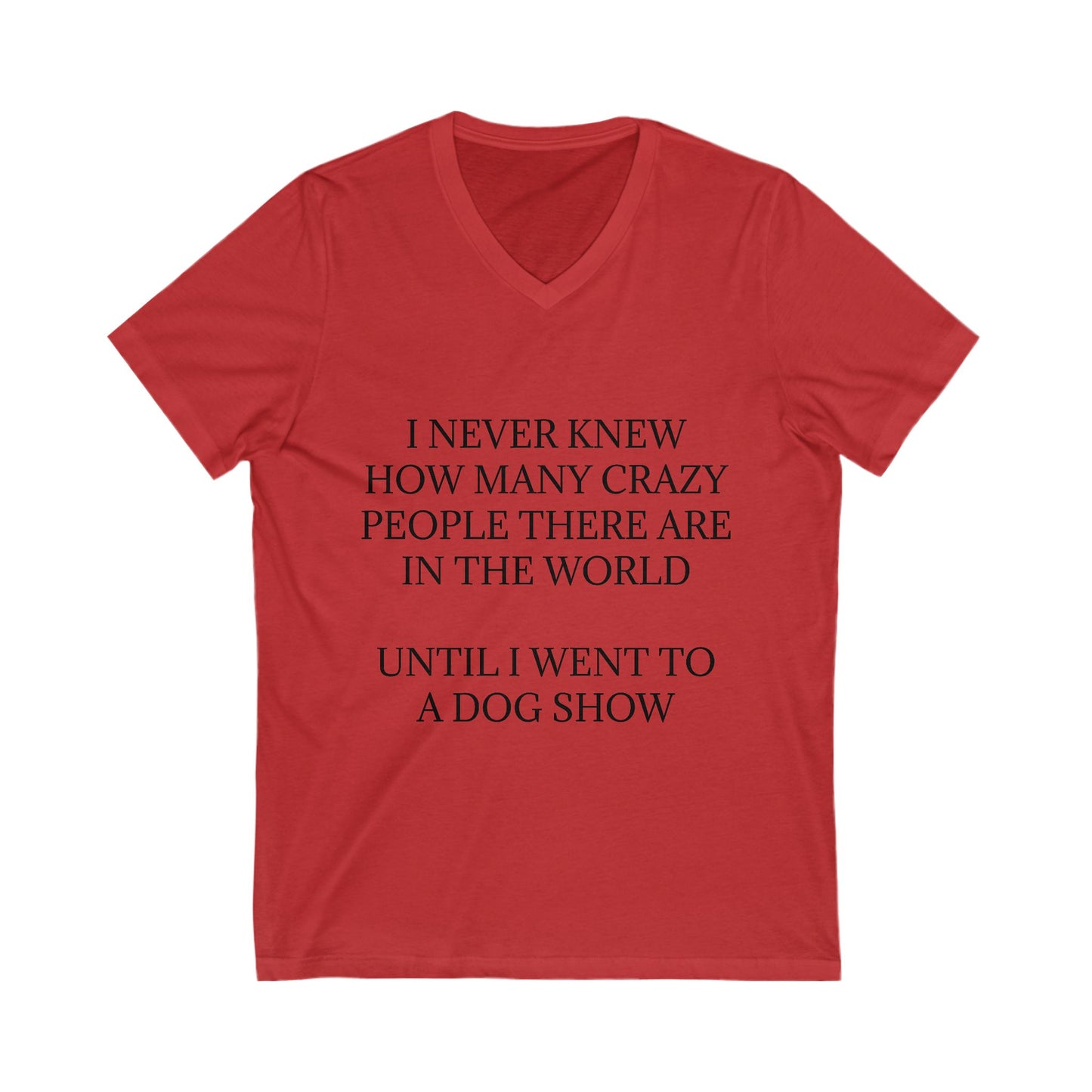Never Knew Unisex Short Sleeve V-Neck Tee