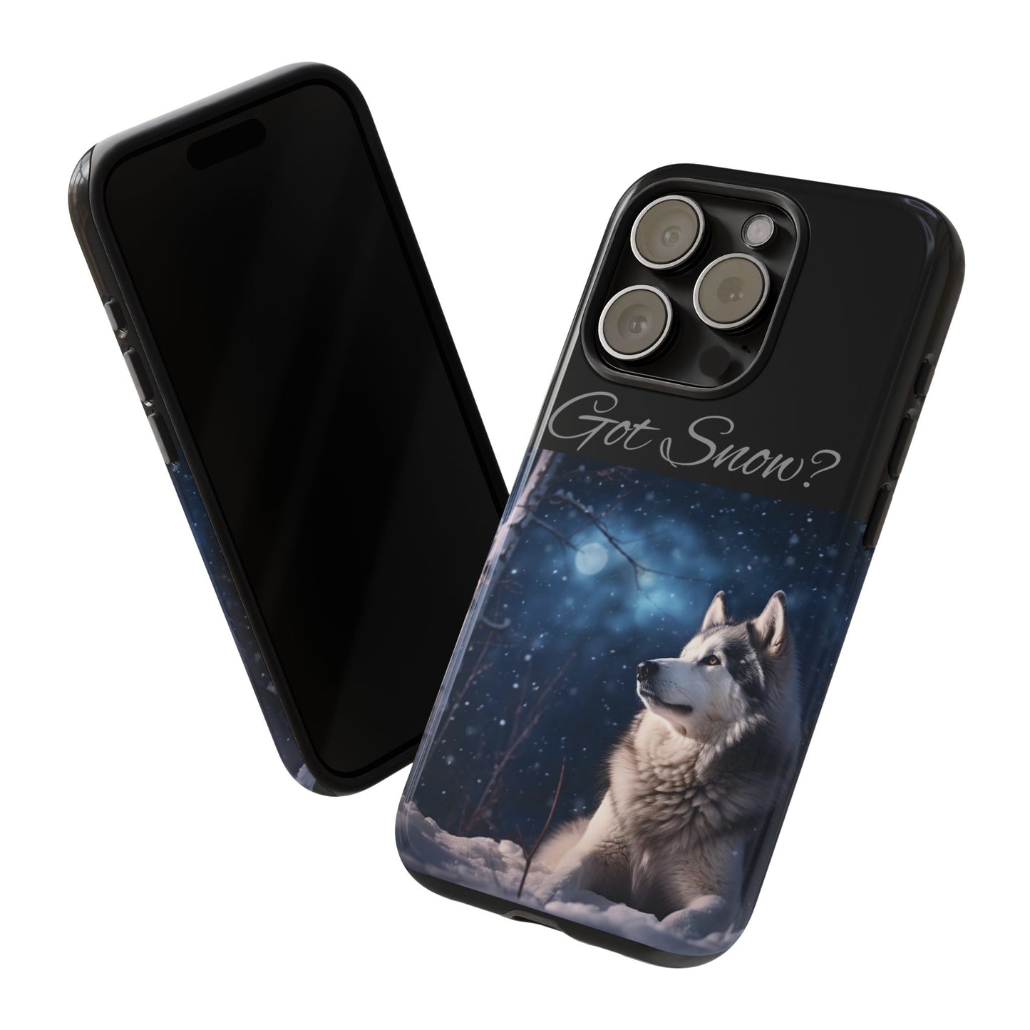 Got Snow? iPhone Case