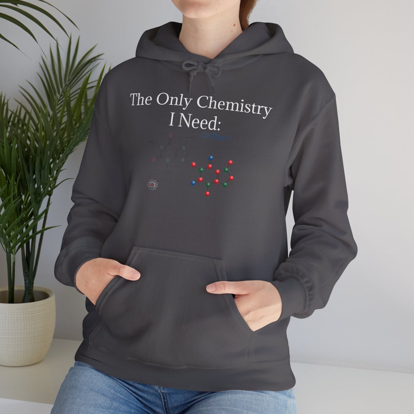 Chemistry Lesson Unisex Hoodie