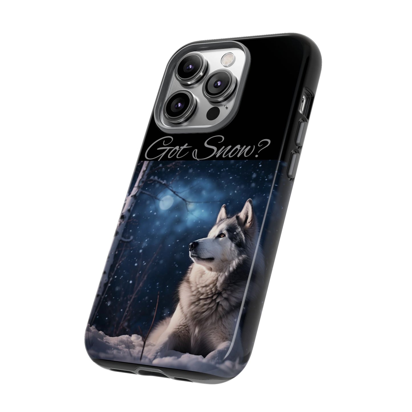 Got Snow? iPhone Case
