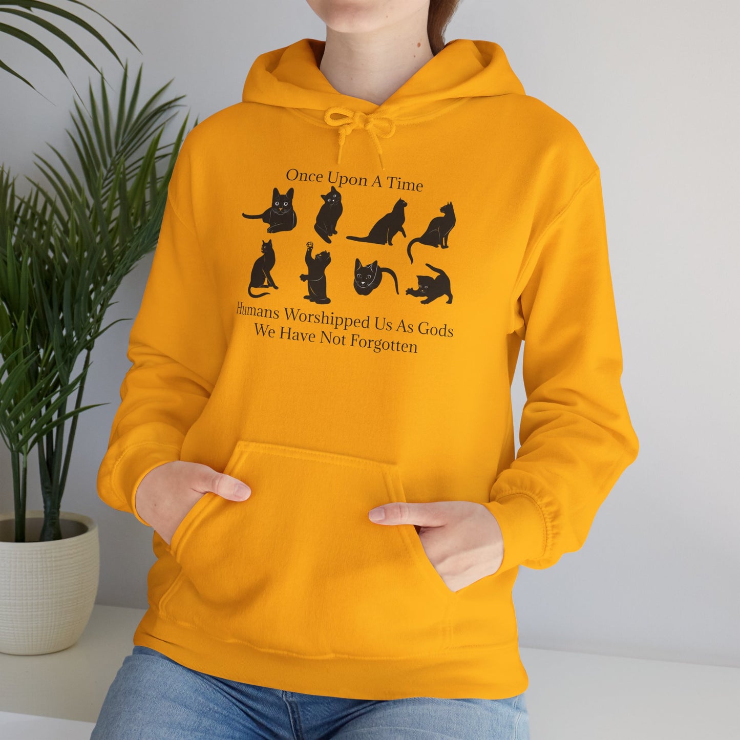 Once Upon A Time Unisex Hoodie