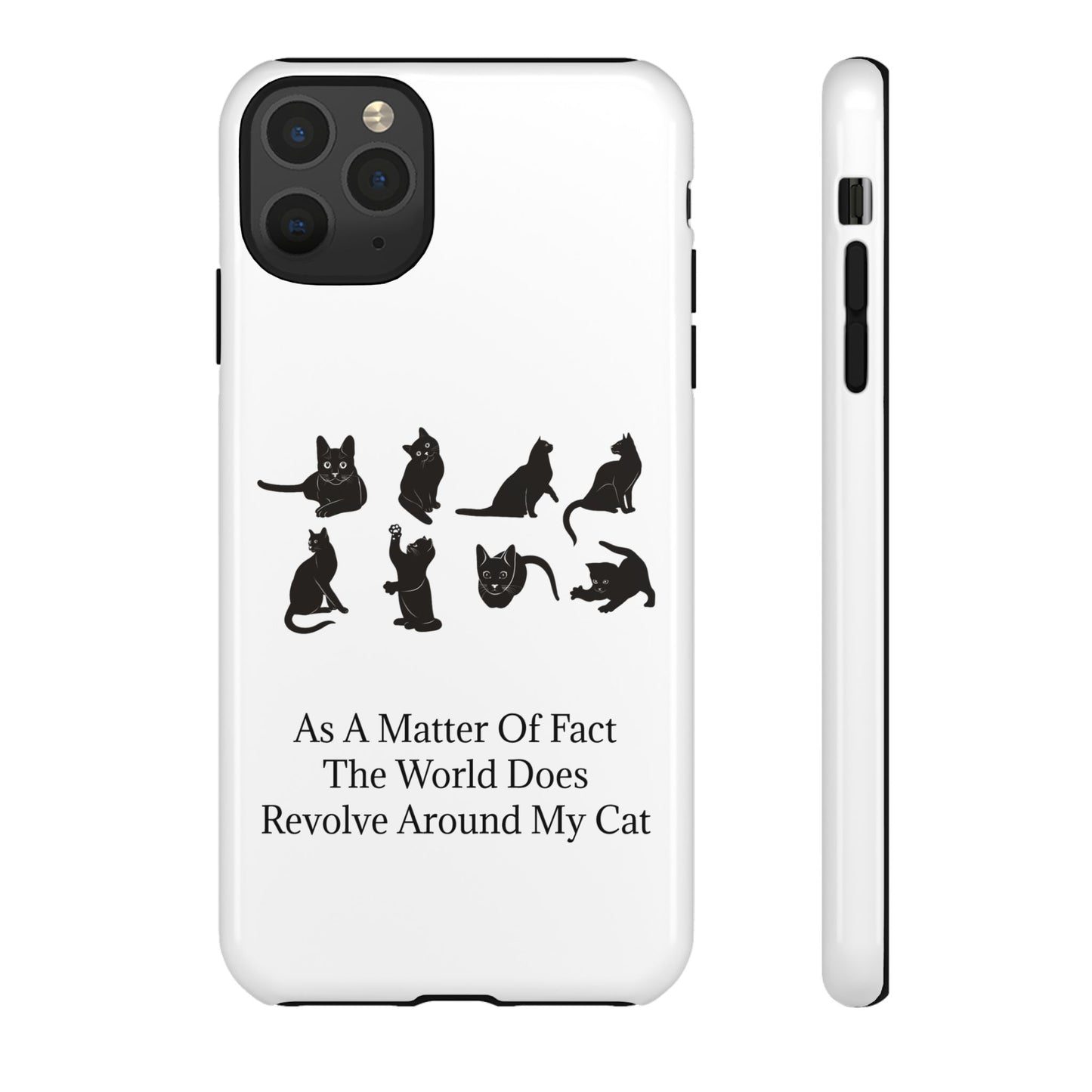 Matter Of Fact Cat iPhone Case