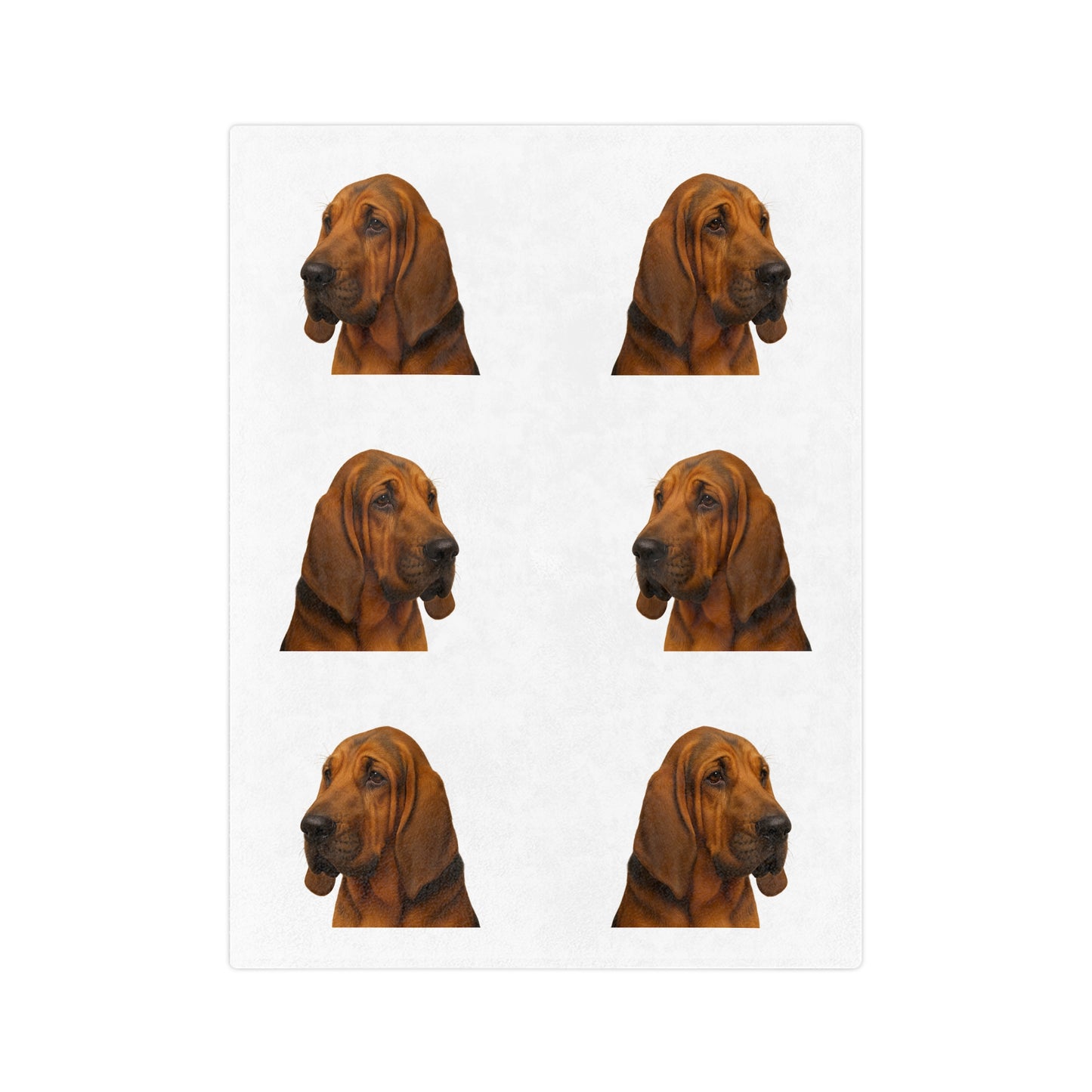 Bloodhound Head Velveteen Microfiber Blanket