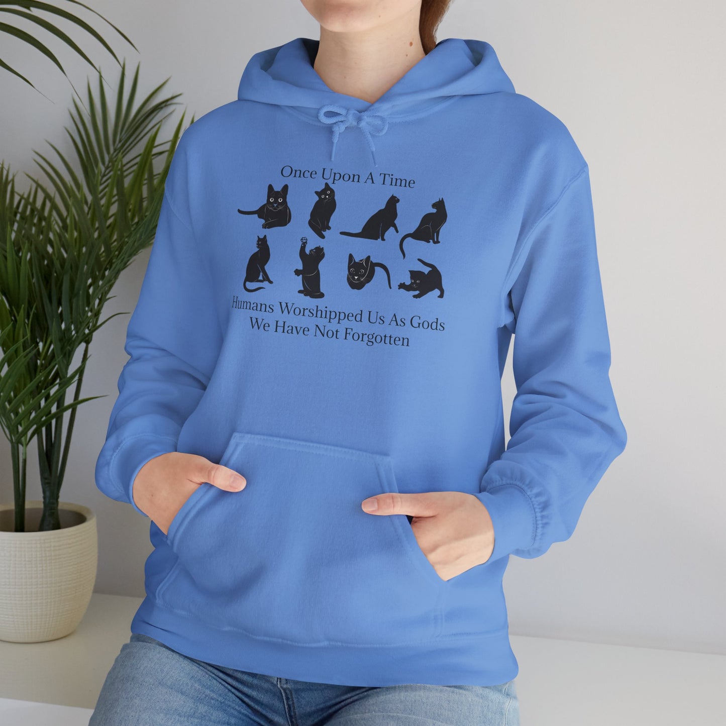 Once Upon A Time Unisex Hoodie