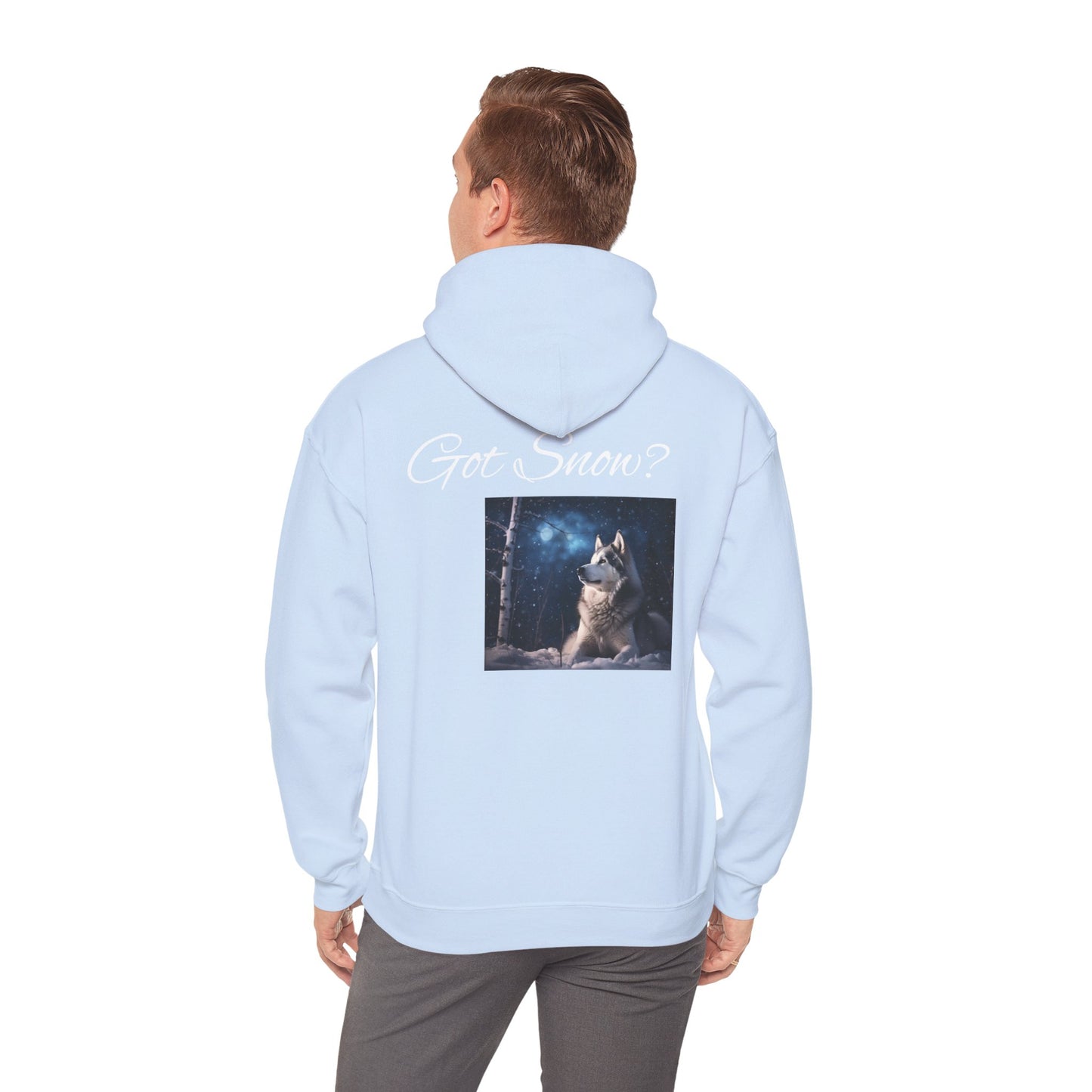 Got Snow? Unisex Hoodie