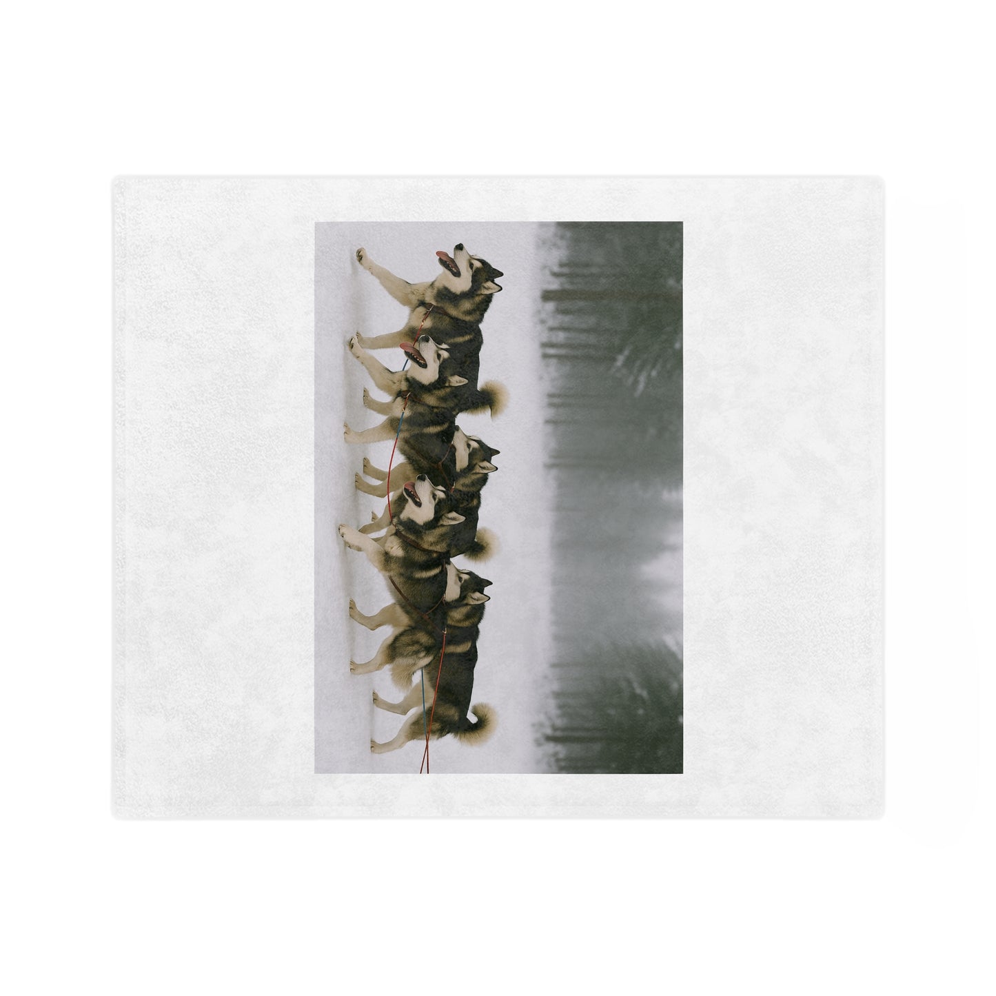 Mush On Velveteen Microfiber Blanket