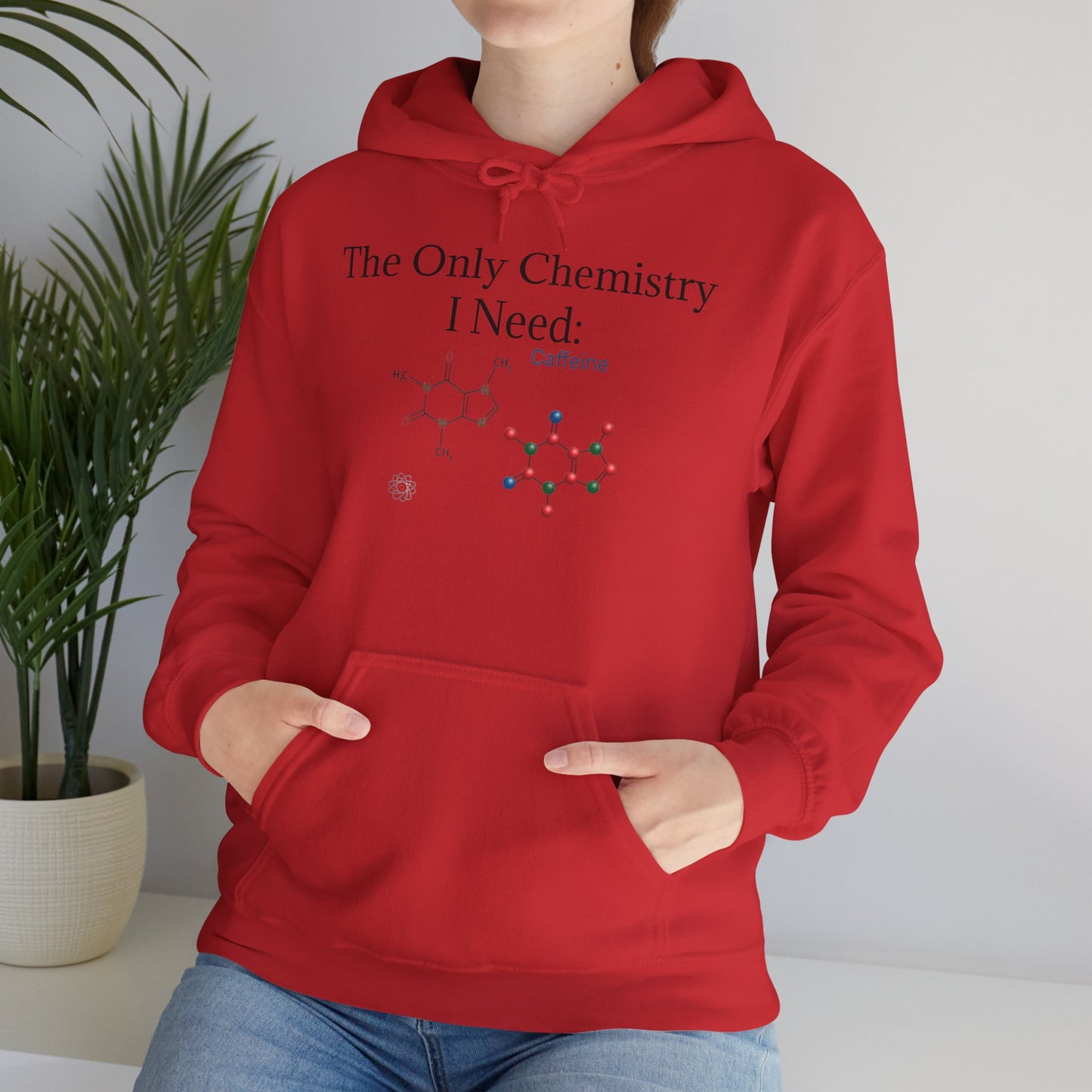 Chemistry Lesson Unisex Hoodie