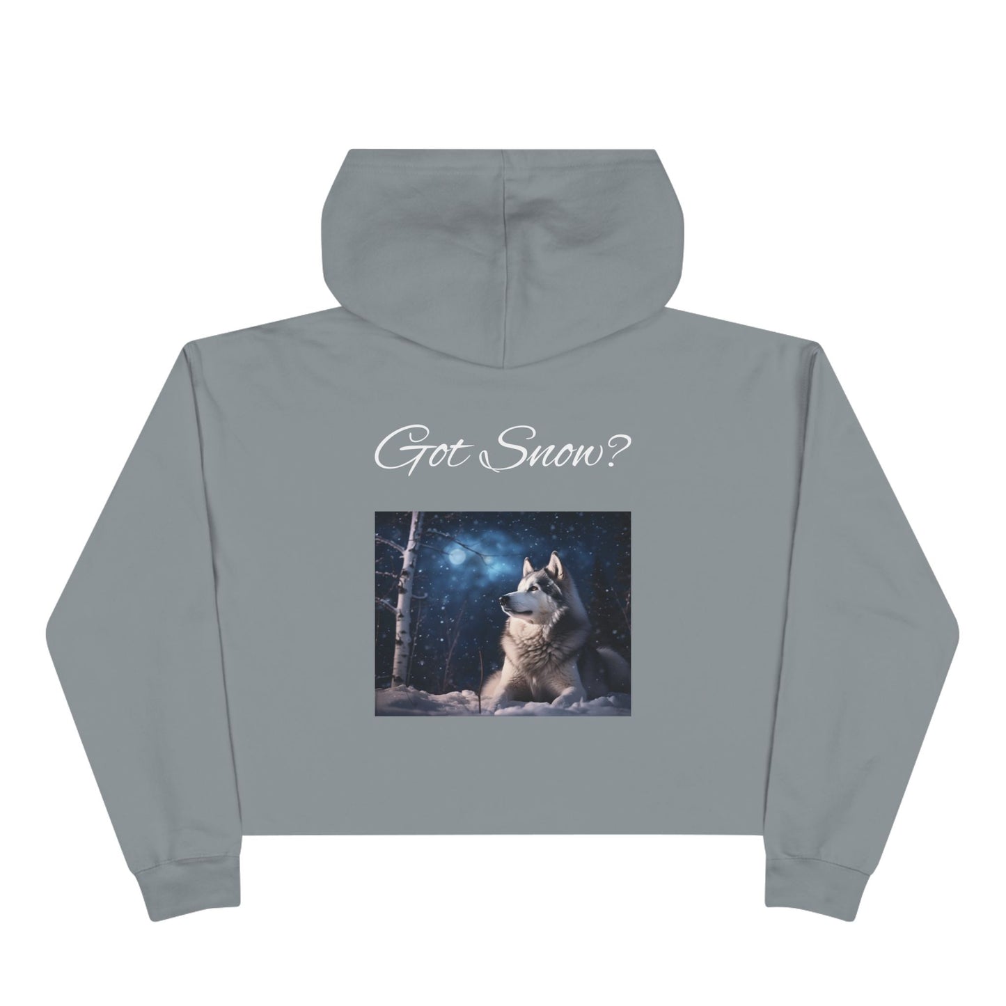 Got Snow? Women's Crop Hoodie