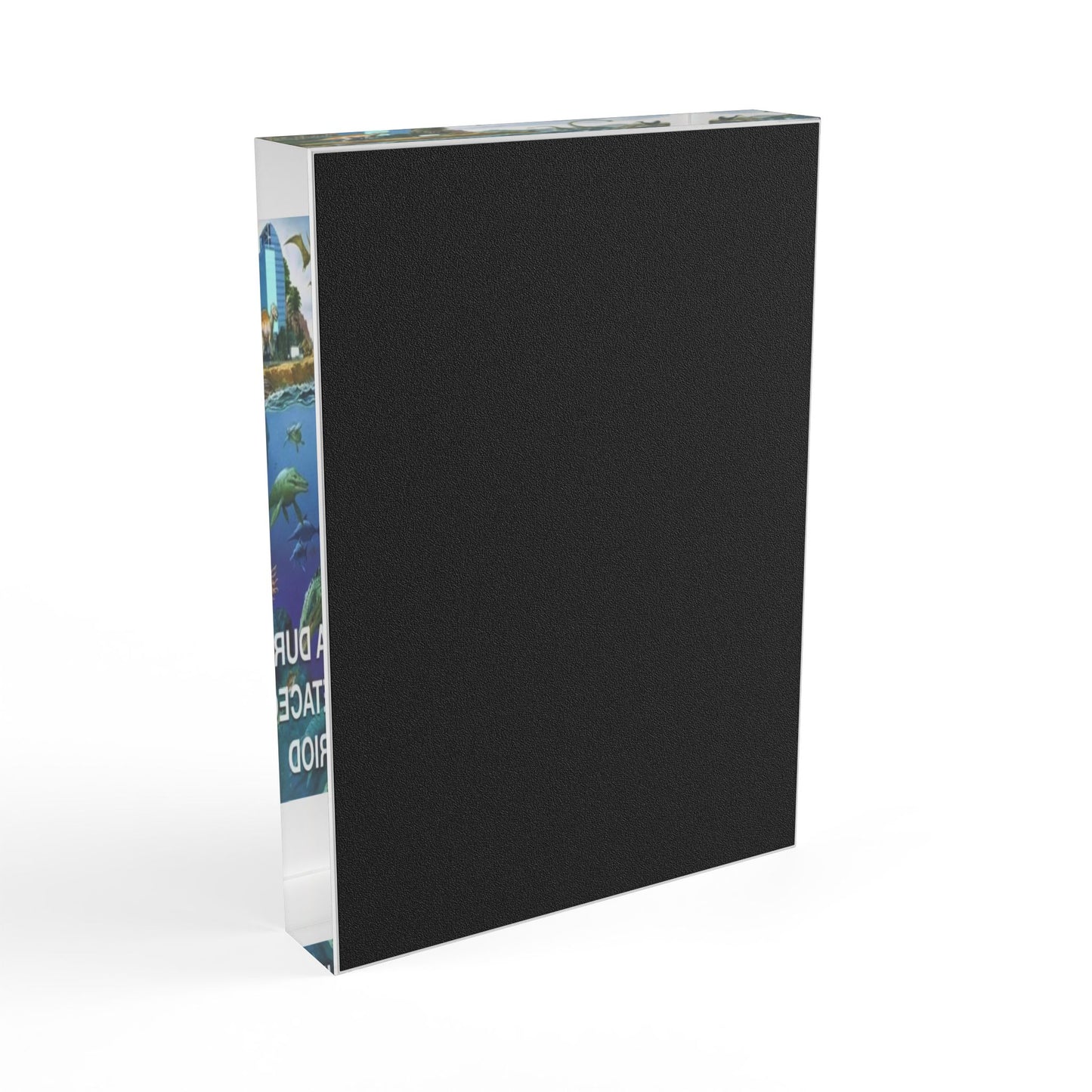 I-4 Eyesore Acrylic Photo Block