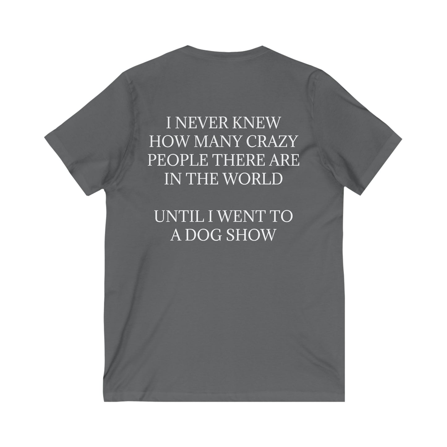 Never Knew Unisex Short Sleeve V-Neck Tee