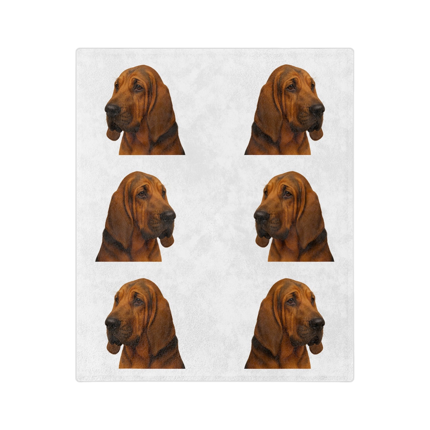 Bloodhound Head Velveteen Microfiber Blanket