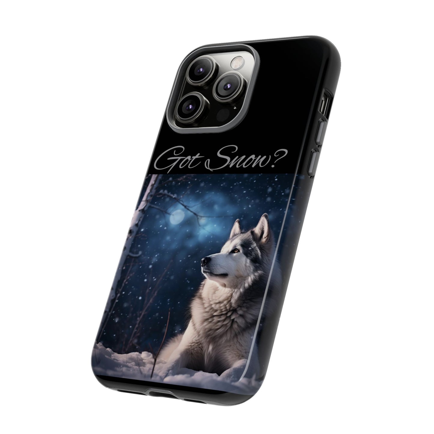 Got Snow? iPhone Case