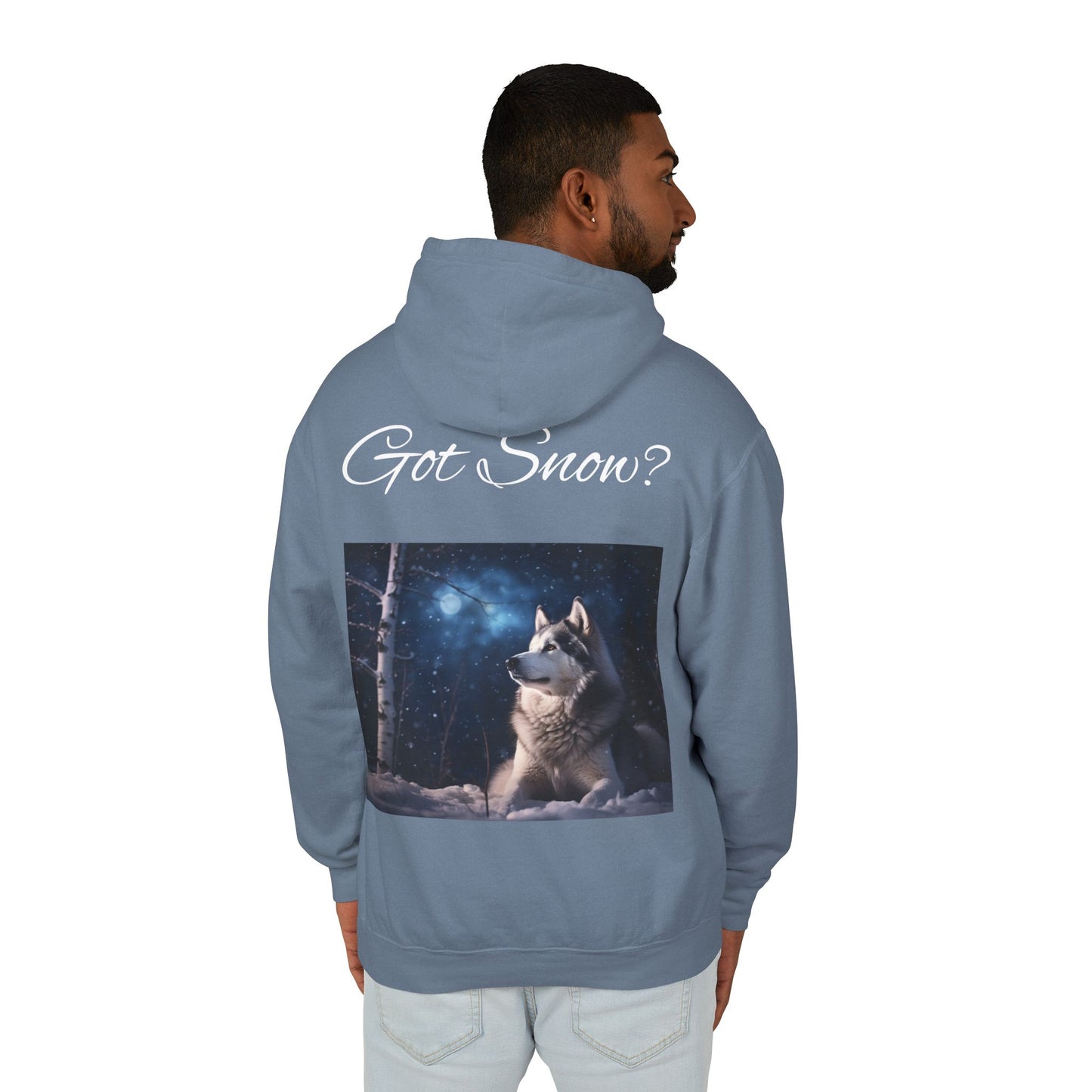 Got Snow? Unisex Lightweight Hoodie