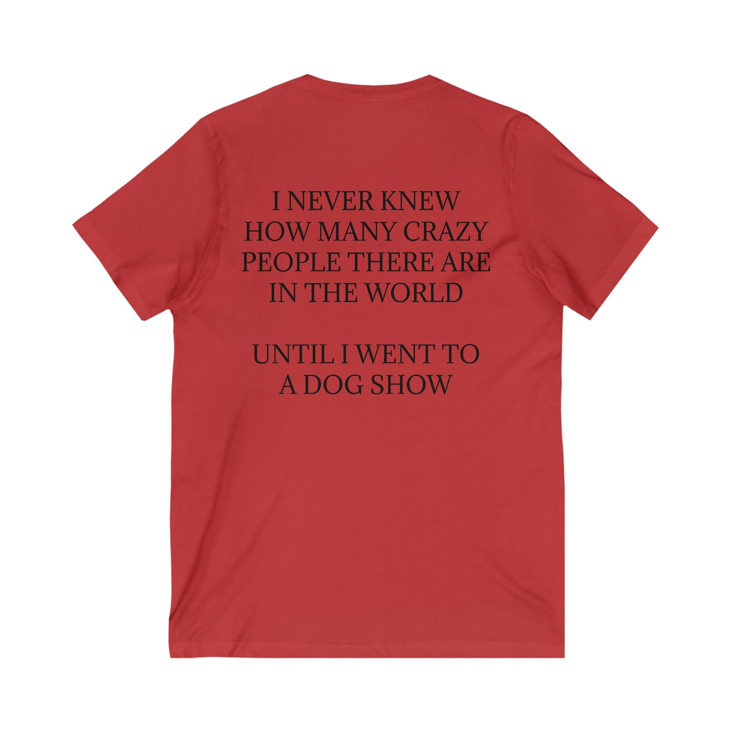 Never Knew Unisex Short Sleeve V-Neck Tee