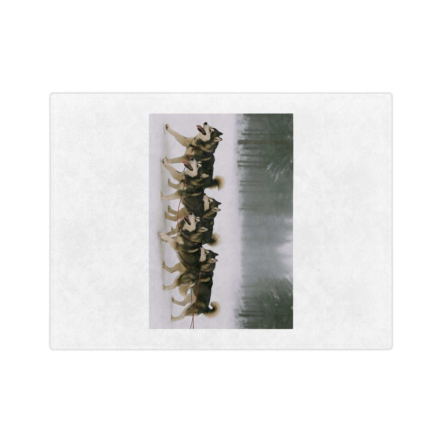 Mush On Velveteen Microfiber Blanket