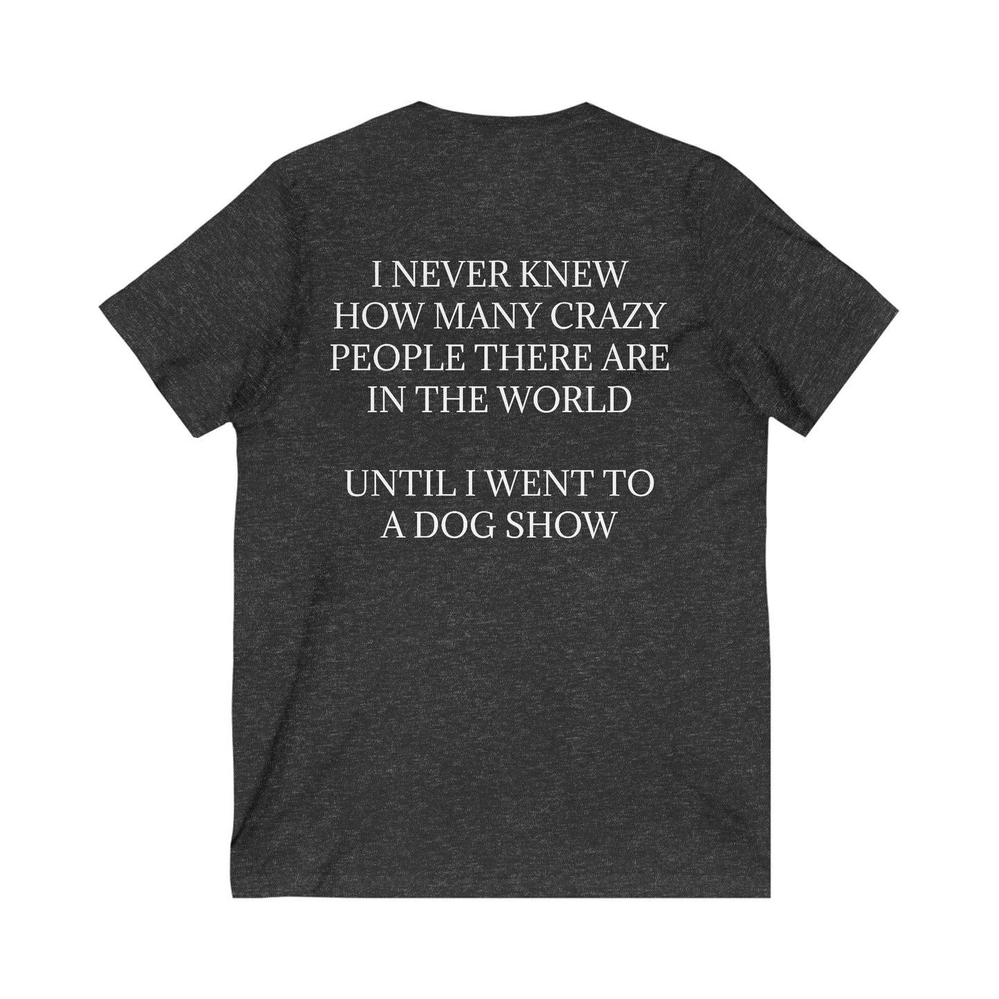 Never Knew Unisex Short Sleeve V-Neck Tee