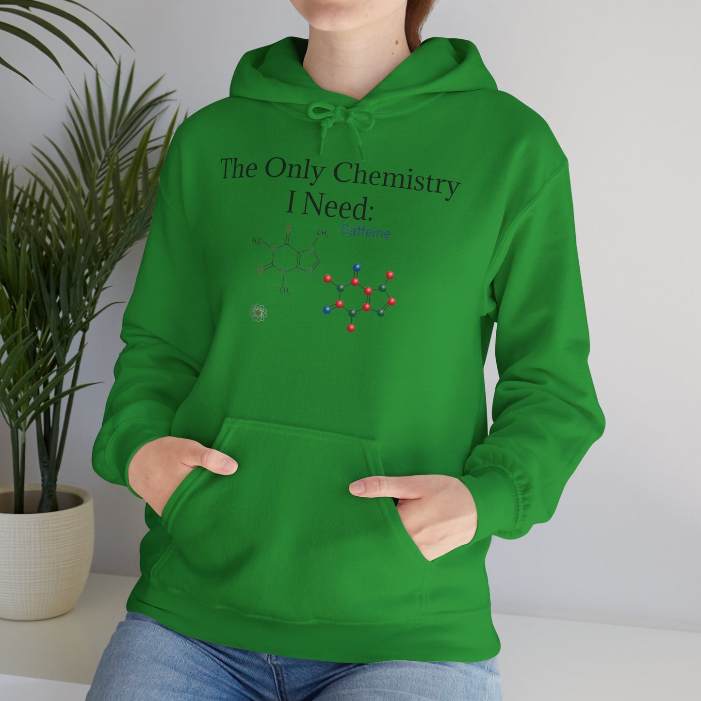Chemistry Lesson Unisex Hoodie