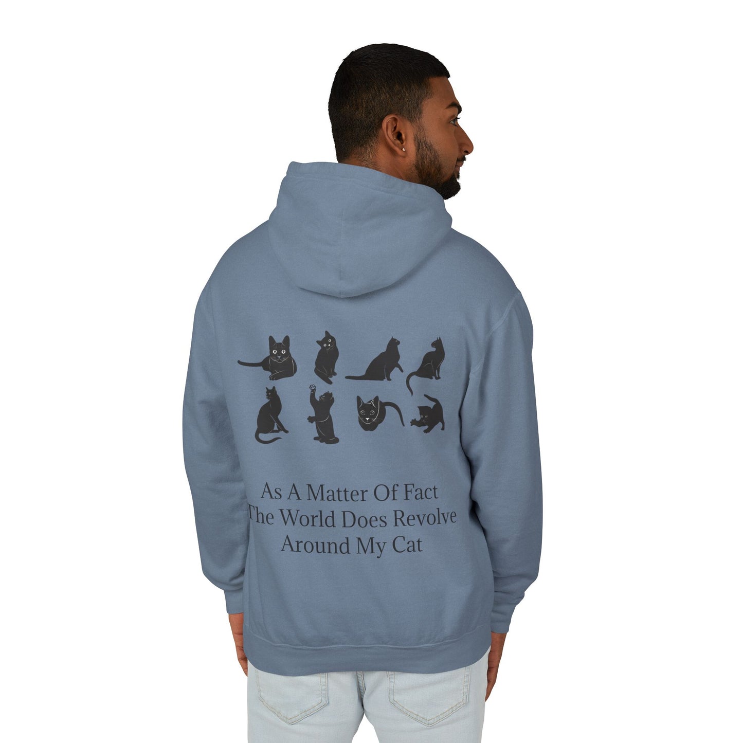 Matter Of Fact Cat Unisex Lightweight Hoodie