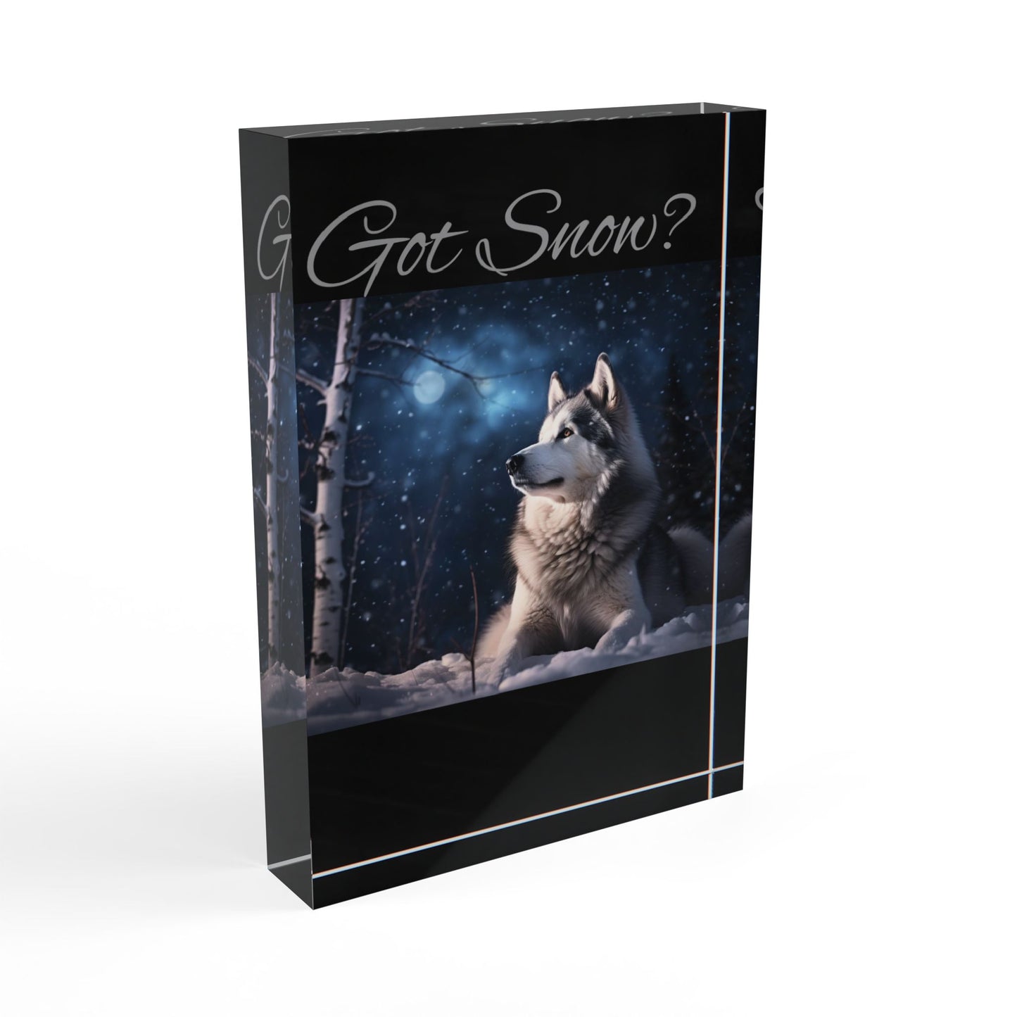Got Snow? Acrylic Photo Block