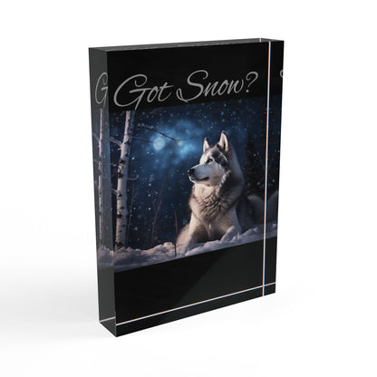 Got Snow? Acrylic Photo Block
