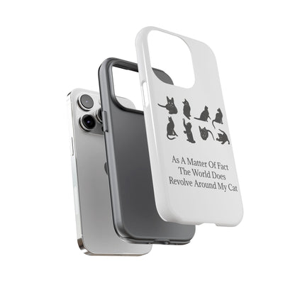 Matter Of Fact Cat iPhone Case