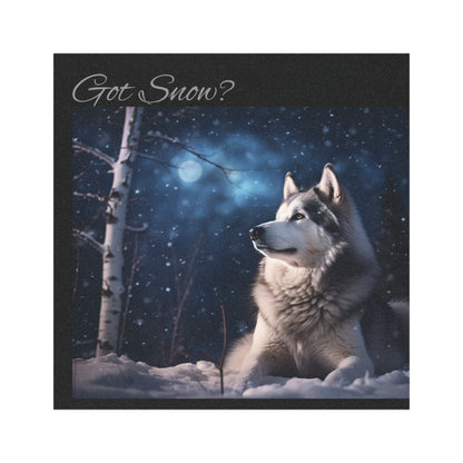 Got Snow? Indoor/Outdoor Magnet