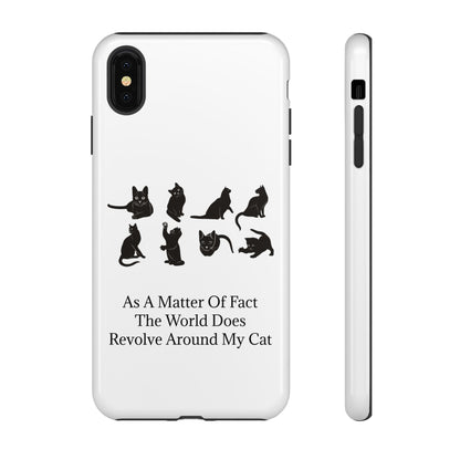 Matter Of Fact Cat iPhone Case