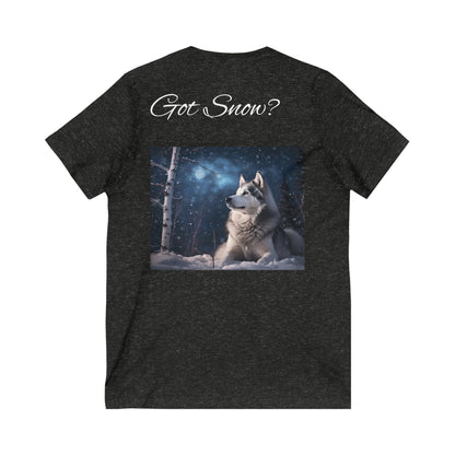 Got Snow? Unisex Short Sleeve V-Neck Tee