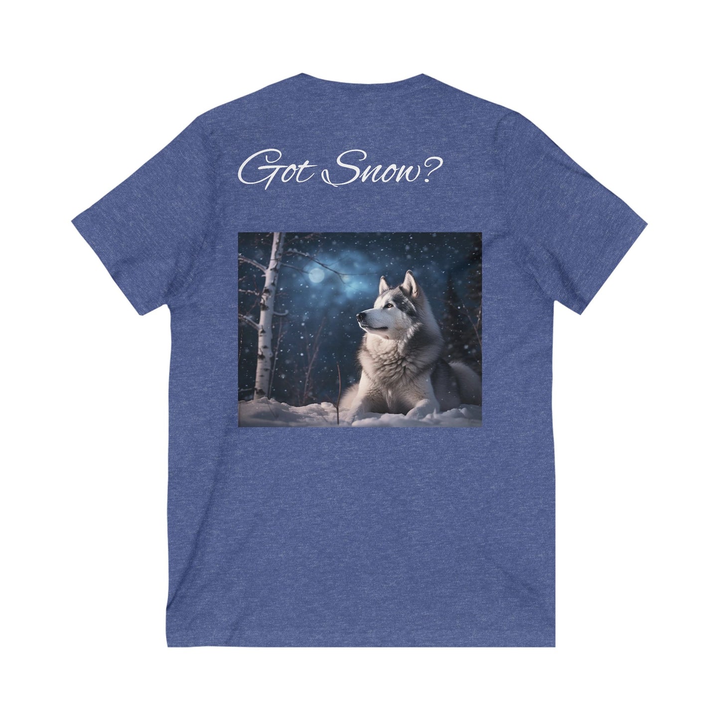 Got Snow? Unisex Short Sleeve V-Neck Tee