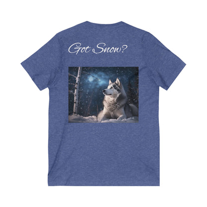 Got Snow? Unisex Short Sleeve V-Neck Tee